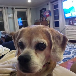 Meet your Posher, Carla